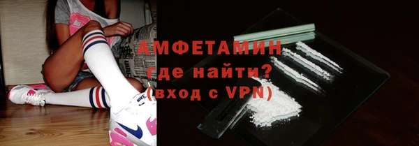 молекула духа Пестово