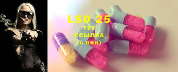молекула духа Пестово